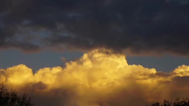 戏剧化地点亮的积云在天空中穿行 时光流逝 — 图库视频影像