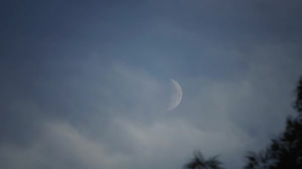 曇りの空を移動し 夜の秋に木の後ろに設定三日月のタイムラプスの追跡ショット — ストック動画