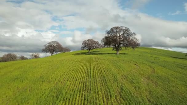 Aerial Shot Road Leading Green Rolling Hills Blue Sky White — Wideo stockowe