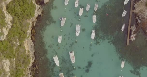 Vista Aérea Cima Para Baixo Barcos Atracados Pequena Aldeia Canuelles — Vídeo de Stock