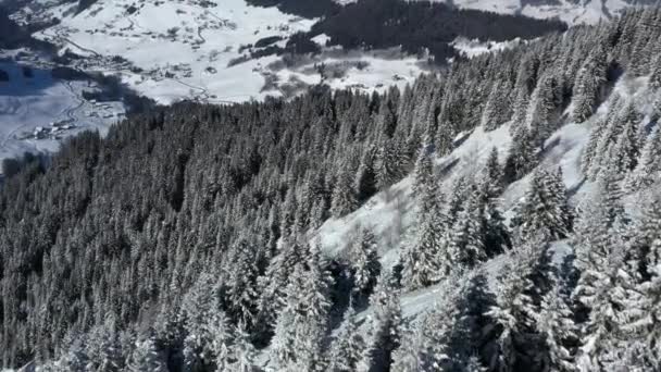 Повітряний Вид Летить Через Вкритий Снігом Ліс Перед Тим Піднятися — стокове відео