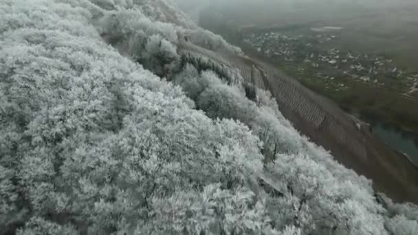 Volando Sobre Hermosos Árboles Cubiertos Nieve Helada Cima Colina Valle — Vídeos de Stock