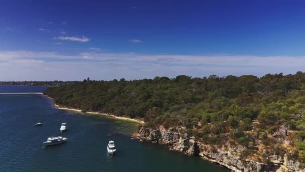 Point Walter Australia Aerial Drone Low Fly Park Perth — Stock Video