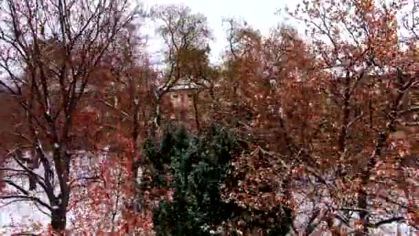 Prague Winter Flight Snow Trees Houses Birds Flying Aerial Drone — Vídeos de Stock