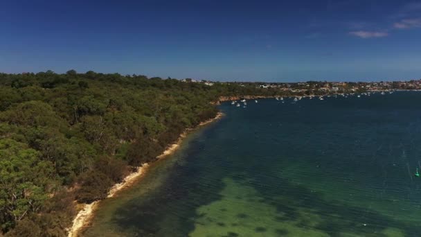 Point Walter Australia Aerial Drone Low Fly Coast — Stock Video