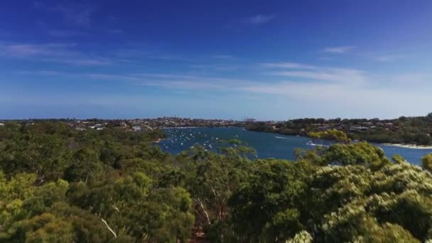 Point Walter Australia Aerial Drone Low Fly Trees River — Video Stock
