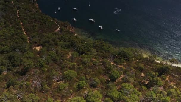 Σημείο Walter Αυστραλία Εναέρια Drone Pan Κάτω Μέσα Από Δέντρα — Αρχείο Βίντεο