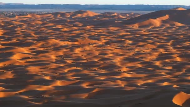 Μια Πανοραμική Εικόνα Των Αμμόλοφων Της Μερζούγκα Μαρόκο Ένα Καραβάνι — Αρχείο Βίντεο