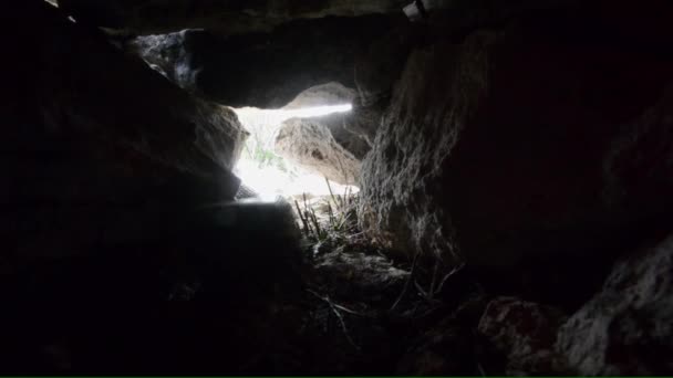 Eine Große Giftschlange Dringt Ihre Höhle Ein Von Innen Betrachtet — Stockvideo