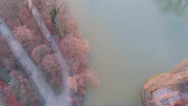 Munich Kleinhesseloher Lake Fotage — Vídeo de stock