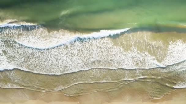 Beautiful Drone Cinematic Top View Brazilian Beach White Sand Emerald — Stock Video