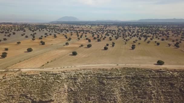 沙漠上的一个农业区的空中俯瞰 终点是一个巨大的岩石峡谷 — 图库视频影像
