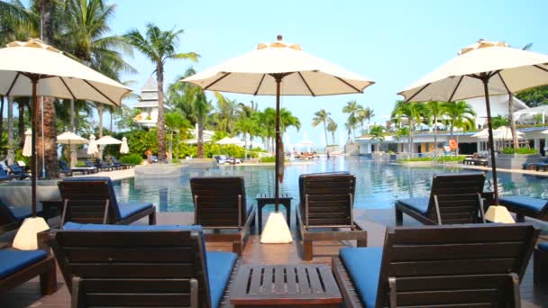 Hôtel Resort Avec Piscine Luxe Palmiers Tropicaux Chaises Longues Bois — Video