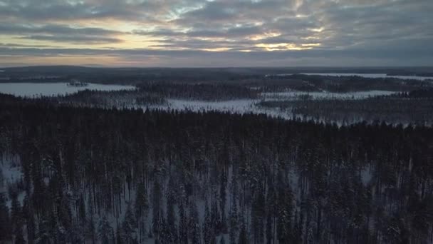 Frozen Forest Kuusamo Lapland Finland Aerial Shots Mid Winter Day — Stock Video