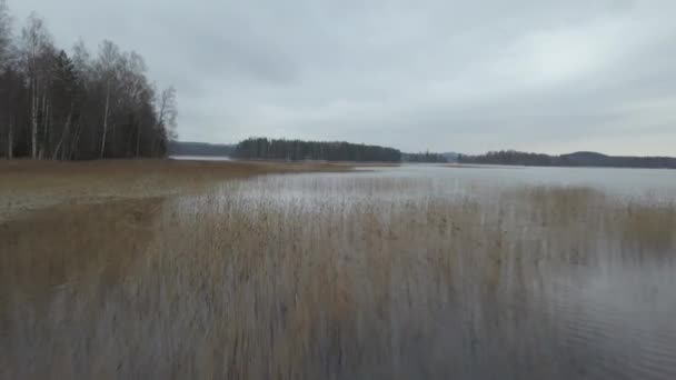 Lake South Finland Joutsa Aerial Shot Low Perspective — Stock videók