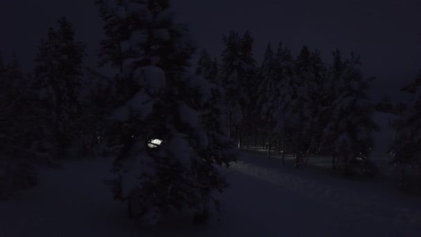 Car Driving Dark Forest Mid Winter Day Finland Revealing Drone — ストック動画