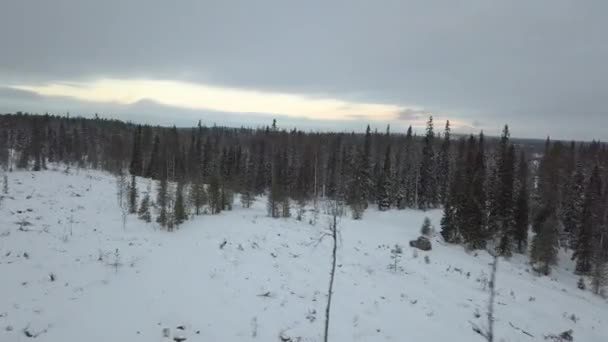 Frozen Forest Kuusamo Lapland Finland Aerial Shots Mid Winter Day — Stockvideo