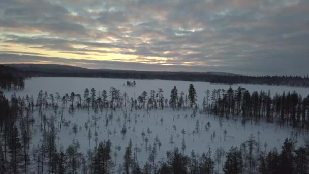 Frozen Forest Kuusamo Lapland Finland Aerial Shots Mid Winter Day — ストック動画