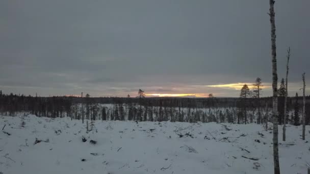 Frozen Forest Kuusamo Lapland Finland Aerial Shots Mid Winter Day — Stockvideo