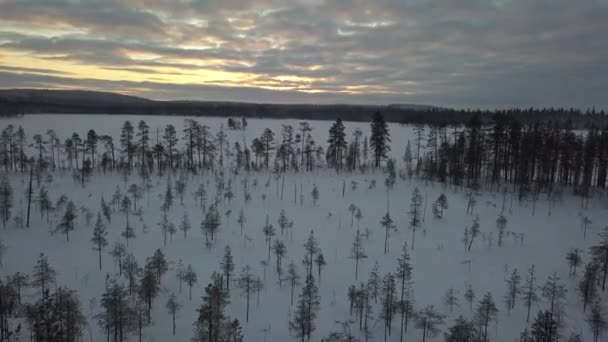 Frozen Forest Kuusamo Lapland Finland Aerial Shots Mid Winter Day — Stockvideo