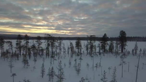 Frozen Forest Kuusamo Lapland Finland Aerial Shots Mid Winter Day — стоковое видео