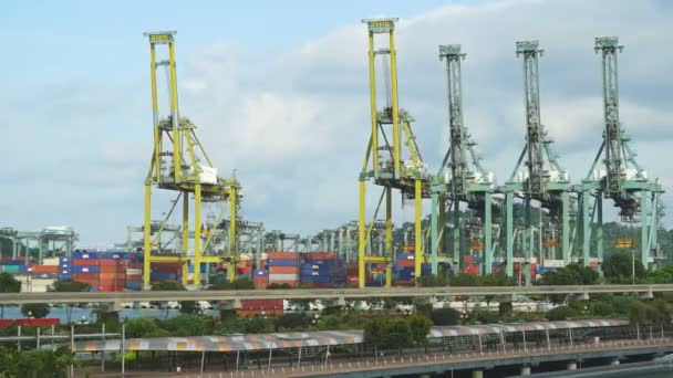 Cargo Shipping Cranes Singapore Panning Time Lapse Busy Industry — Vídeo de Stock