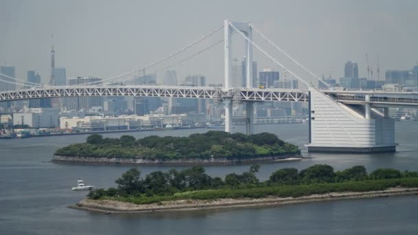 Static Time Lapse Shot Tokyo City Focus Rainbow Bridge Traffic — Stock Video