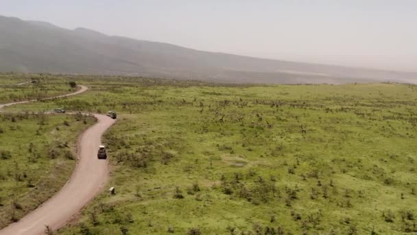 Safari Tour Cars Parked Road Side Numerous Giraffes Hill Ngorngoro — стокове відео