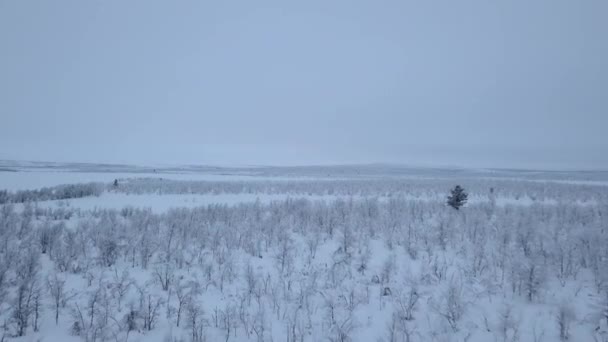 Otwarte Równiny Zimą Norwegii Pobliżu Granicy Szwecją Strzał Powietrza — Wideo stockowe