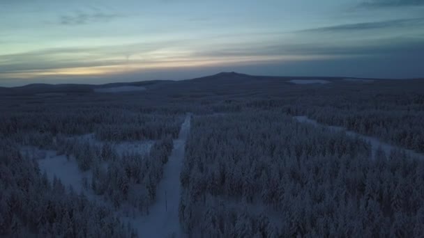Zamarznięty Zimowy Krajobraz Drogą Hanhimaa Finlandii Dynamiczne Ujęcia Dronem — Wideo stockowe