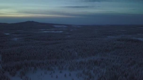 Παγωμένο Χειμερινό Τοπίο Της Hanhimaa Στη Φινλανδία Δυναμικές Βολές Drone — Αρχείο Βίντεο