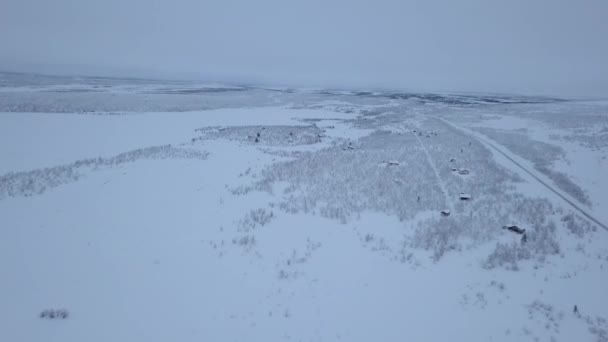 Open Plains Winter Norway Swedish Border Aerial Shot — Stock Video
