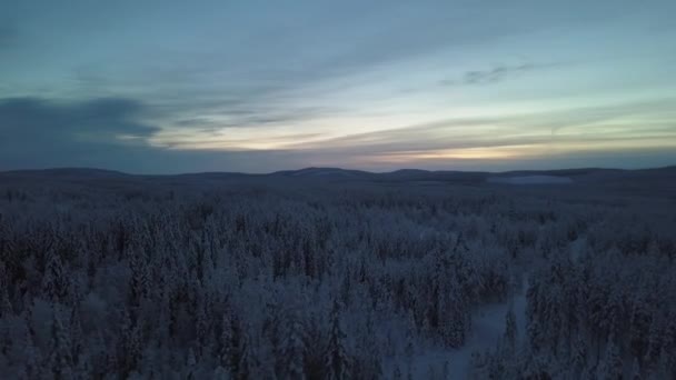 Zamarznięty Zimowy Krajobraz Hanhimaa Finlandii Dynamiczne Ujęcia Dronem — Wideo stockowe