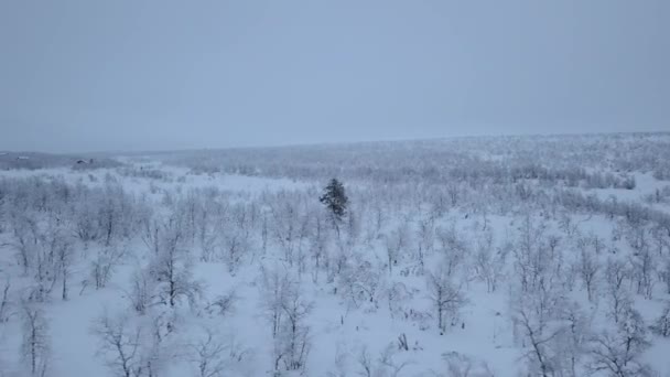 Otwarte Równiny Zimą Norwegii Pobliżu Granicy Szwecją Strzał Powietrza — Wideo stockowe