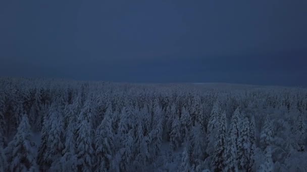 フィンランドのハニマーの凍った冬の風景 ドローンを使ったダイナミックショット — ストック動画
