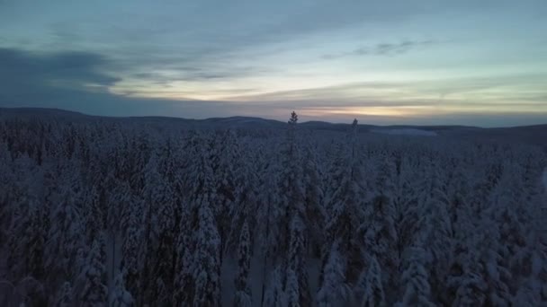 Frozen Winterscape Hanhimaa Finland Dynamic Shots Drone — Stock Video