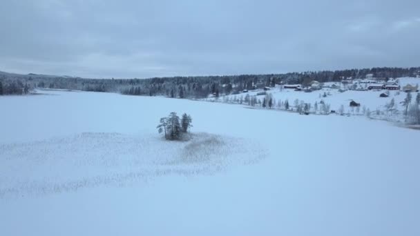 Fagyott Erdő Közelében Borgvattnet Svédország Napközben Drónnal Filmezik — Stock videók