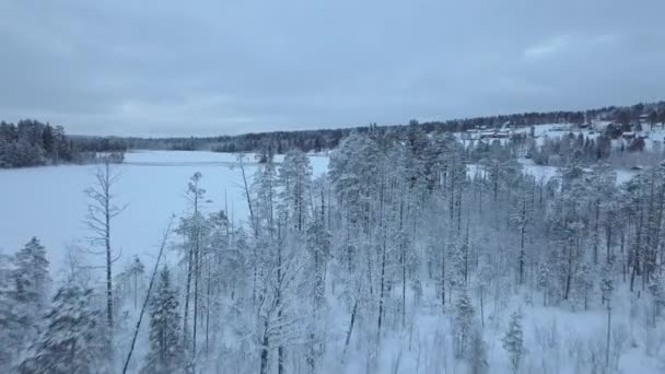Lago Congelado Floresta Perto Borgvattnet Suécia Filmado Com Drone Durante — Vídeo de Stock