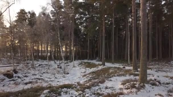Frozen Lake Falun Sweden Cold Winter December Filmed Drone Dynamic — ストック動画