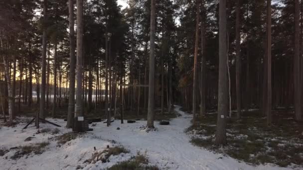 Frozen Lake Falun Sweden Cold Winter December Filmed Drone Dynamic — Video Stock