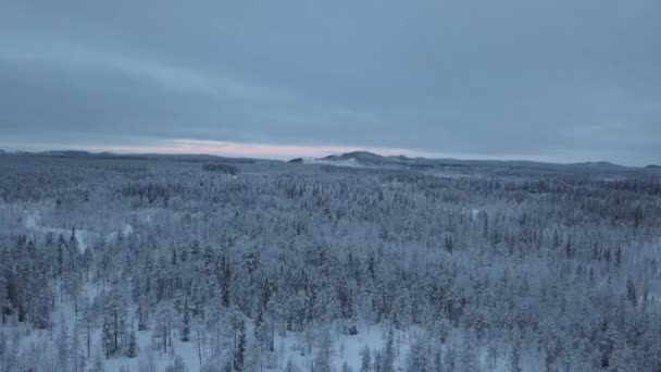 スウェーデンのボルグバットネット近くの凍った湖と森 昼間は無人機で撮影 — ストック動画