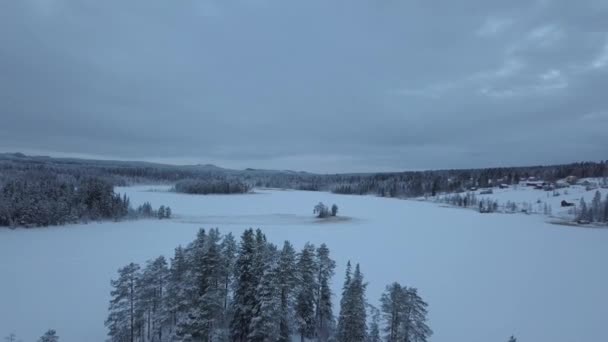 Заморожене Озеро Ліс Поблизу Боргваттнета Швеція Удень Його Знімають Дроном — стокове відео