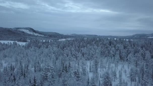 Zamarznięte Jezioro Las Pobliżu Borgvattnet Szwecja Nagrywane Dronem Ciągu Dnia — Wideo stockowe