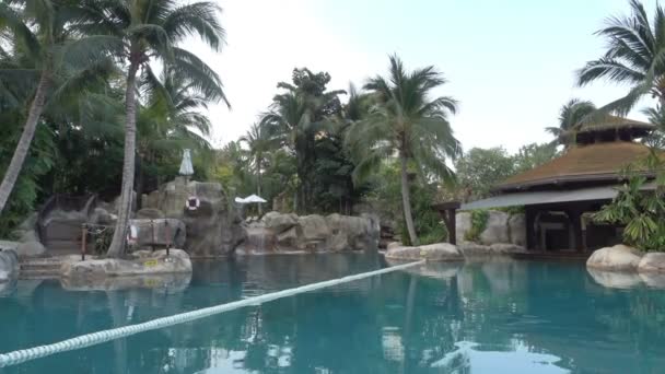 在一个美丽的度假胜地 清澈的棕榈树和其它热带植物的旁边 生活方式 — 图库视频影像