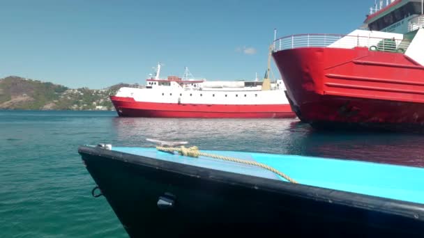 Ferry Boats Docking Tropical Port — Wideo stockowe