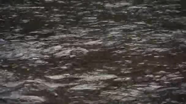 Ροή Του Νερού Του Ποταμού Μια Κρύα Ημέρα Πτώση 1080P — Αρχείο Βίντεο