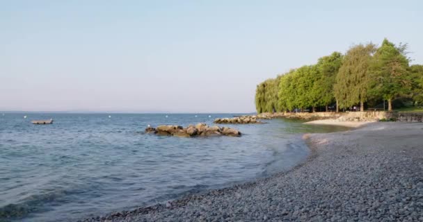 Stony Lakeshore Morning — Αρχείο Βίντεο