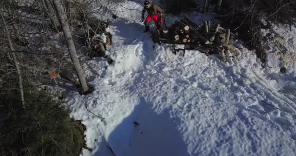 Waldarbeiter Läuft Mit Motorsäge Aus Wald Sonniger Wintertag Drohnenschuss Aus — Stockvideo