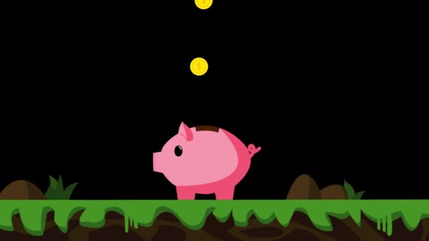 金币的动画从上面掉到粉色的猪栏上 鼻子和尾巴微微移动 在草场和泥场上 阿尔法通道包括 — 图库视频影像
