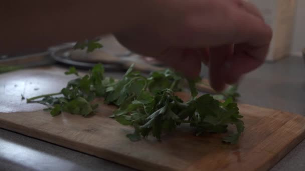 Close Chef Preparing Parsley Recipe — Stock video